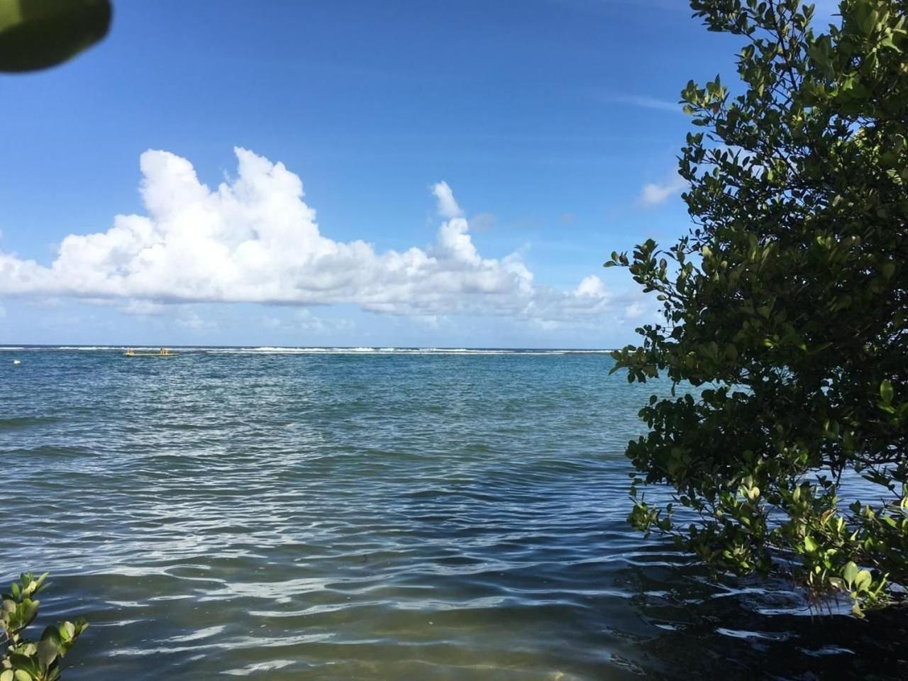 Polinesia Resort - Porto De Galinhas - Apartamentos Com Somente 1 Opcao De Terreo Com Piscina Privativa - Acesso Ao Hotel Samoa Екстер'єр фото